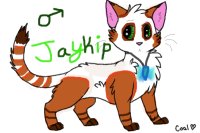 My new Character Jaykip