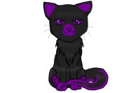 Purple tox kittie