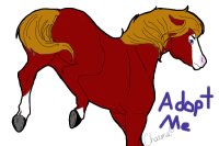 Wild At Heart Stables and Horse Adoptables