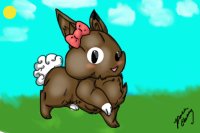 MY bunny