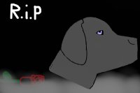 Editble dog for those who lost a dog