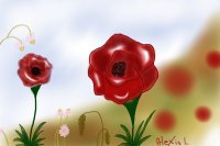 Poppies(an Entry)