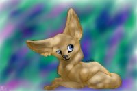 Little Fennec Fox