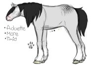 Adoette the Horse