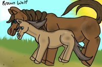 Adopt a horse!~Brown Wolf's Horse {Full-grown & Not} Adopts