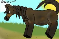 BW Horse Adopts #3 -Not up for adoption