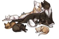 Kittens owo