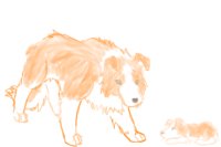 Marlin and Nemo as dogs XD. Marlin and Nemo as dogs XD.