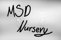 Metal Sprite Dragon Nursery (WIP  No posting) Metal Sprite Dragon Nursery (WIP  No posting)