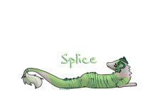 Splice <3
