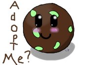 Little Cookie~ Choco and Mint~