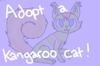 Kangaroo Cat adoption centre *Free!* Kangaroo Cat adoption centre *Free!*