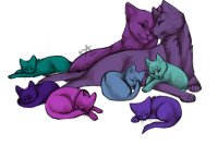 Cat Family