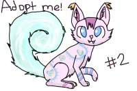 Kangaroo cat #2 Kangaroo cat #2