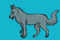 Wolf/Husky Line-art