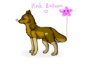 Pink Balloon Dog