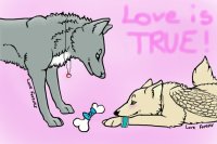Love is TRUE!