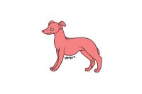 Whippet/Greyhound Editable