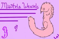 Mustela Weasels