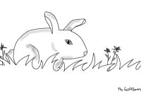 Color Yourself a Rabbit