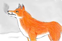 Just a red fox