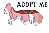 Vulpe Canidae: Adoptable #2