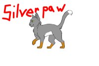 Silverpaw/Siverwillow