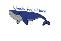 Whale hello there
