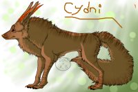 Cyndi owned by Chesire-
