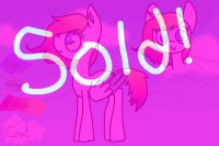 pony #12 pony #12