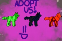 Adopt Us!