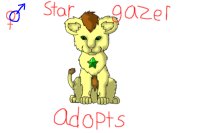 stargazers adopts