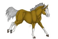 BHS: Palomino Quarter Horse
