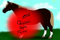 Quarter Apple Farms Adpots: CLOSED