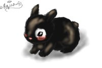 [ bunny ]