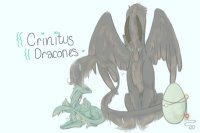 Crinitus Dracones!<3