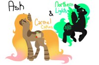 Ask Carmel Cakes and Northern Lights