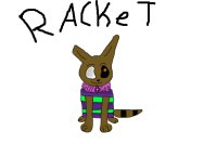 Racket the raccoon please call him Rac.