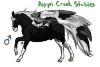 Prince of Spirits - Pegasus Stallion - TerrificTeddyGuineas