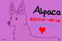 Alpaca Colour-Me-In <3