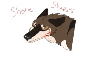 Shane Shepard - Wolf