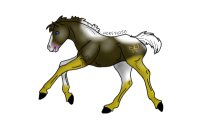 El Cid X Divine Foal