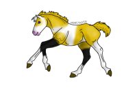 Divine X El Cid Foal