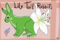Barron's Lily Tail Rabbits