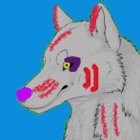 Scarred Wolf