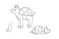Turtle dogs