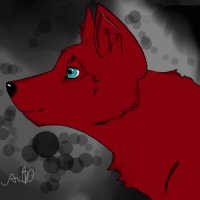 Wolf avatar