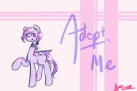 Purple Pegasus - Adopted