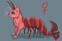 Shrimp Cat #23