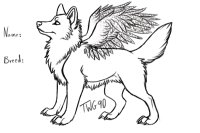 Wolf With Wings Of An Owl!